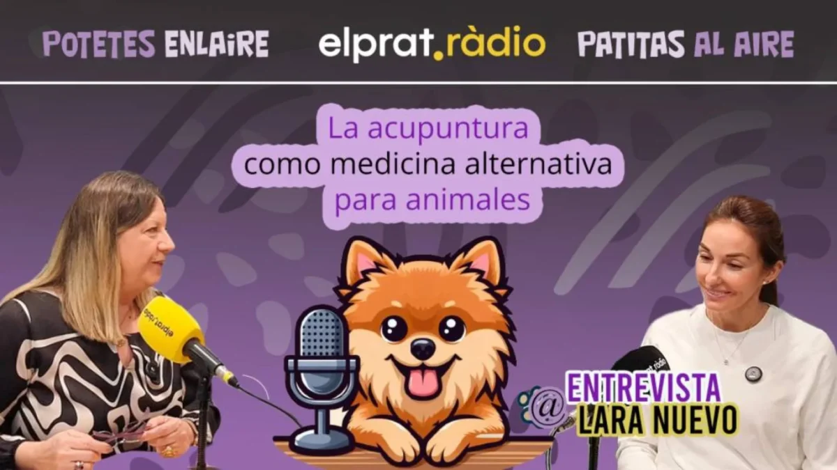 Patitas al Aire · Lara Nuevo y la acupuntura veterinaria
