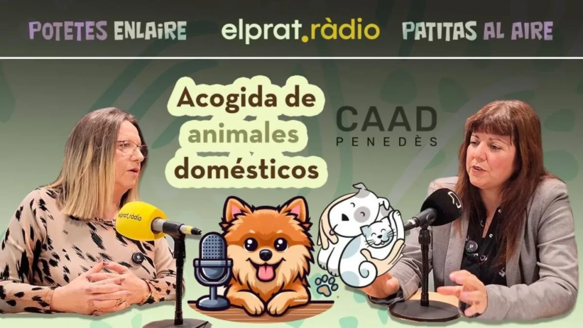 Ana Martínez, del CAAD Penedès, hablando de adopción responsable