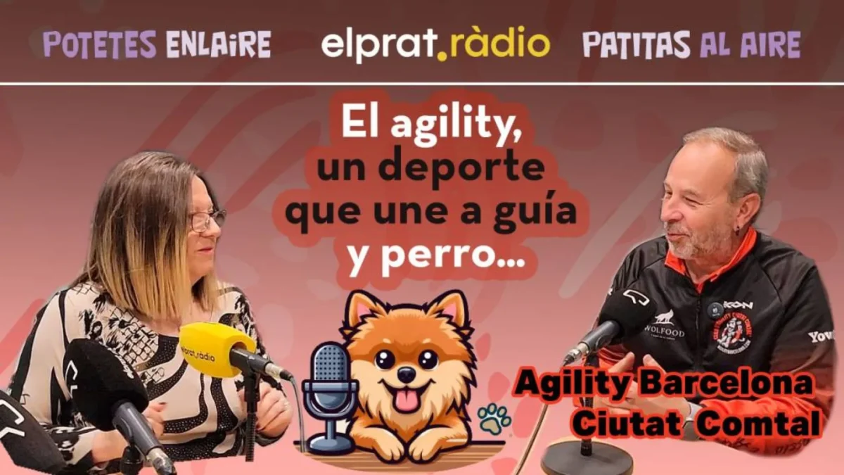 Patitas al Aire · Club Agility Ciutat Comtal de Barcelona