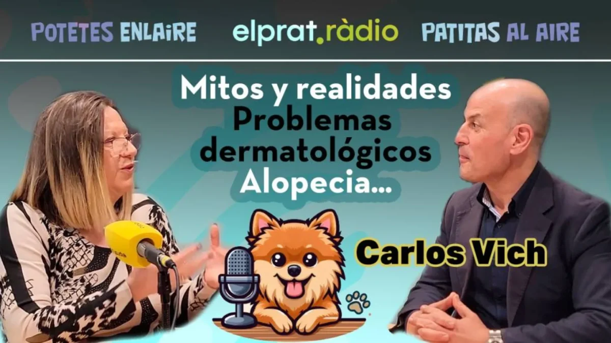 Patitas al Aire · el Dr. Carlos Vich y los problemas dermatológicos