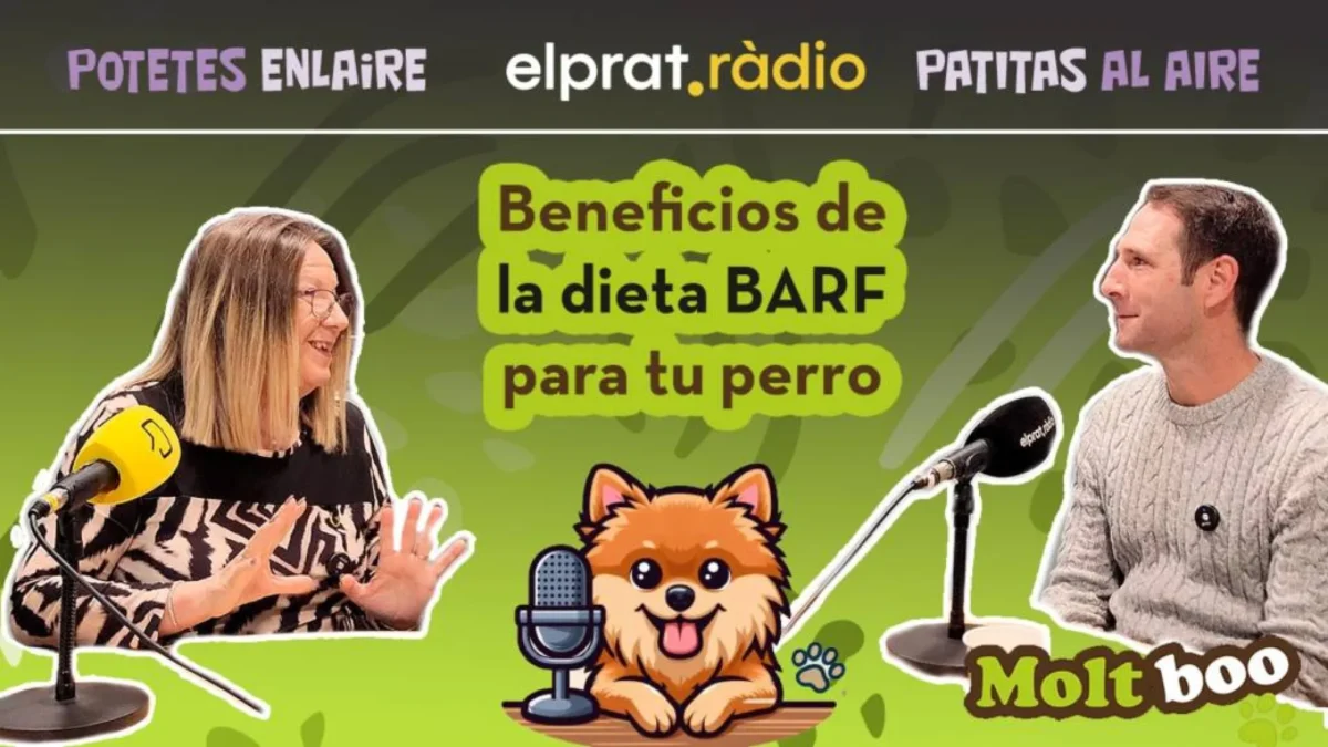 Marc Hospital explicando la dieta BARF en Patitas al Aire
