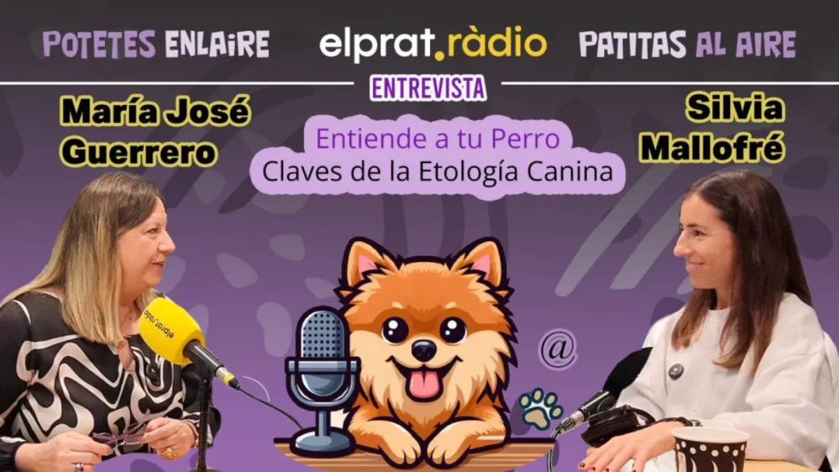 Silvia Mallofré, etóloga canina, durante la entrevista en Patitas al Aire