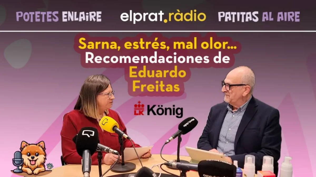 Patitas al Aire · Eduardo Freitas habla de picores, alergia y estrés