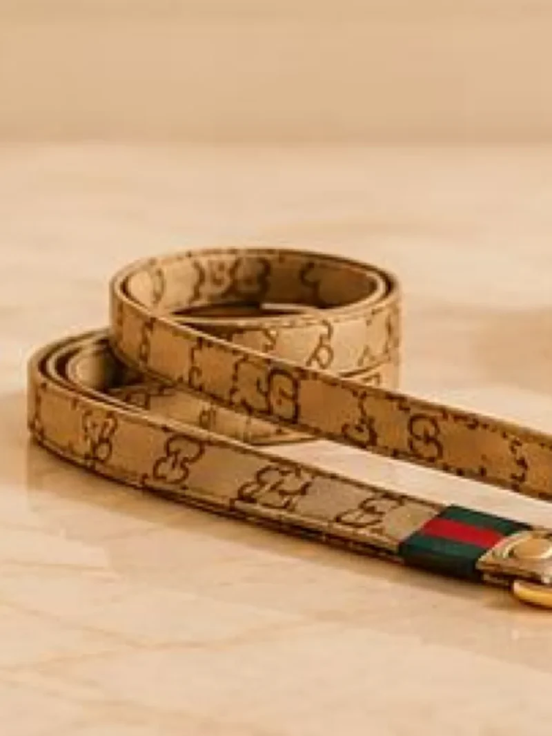 Prod leash